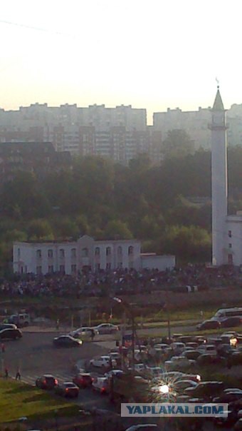 Домой я сегодня опять не попаду!