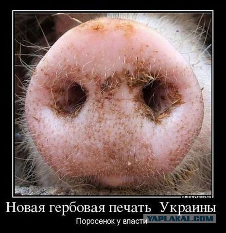 Война не повод для смеха, но....