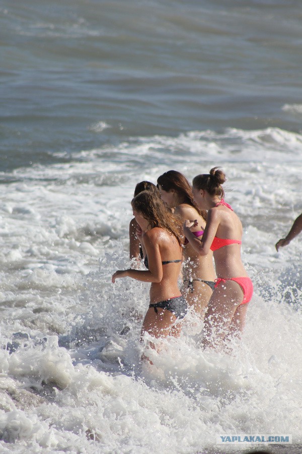 Дорога из Киева и из Москвы в Ялту.