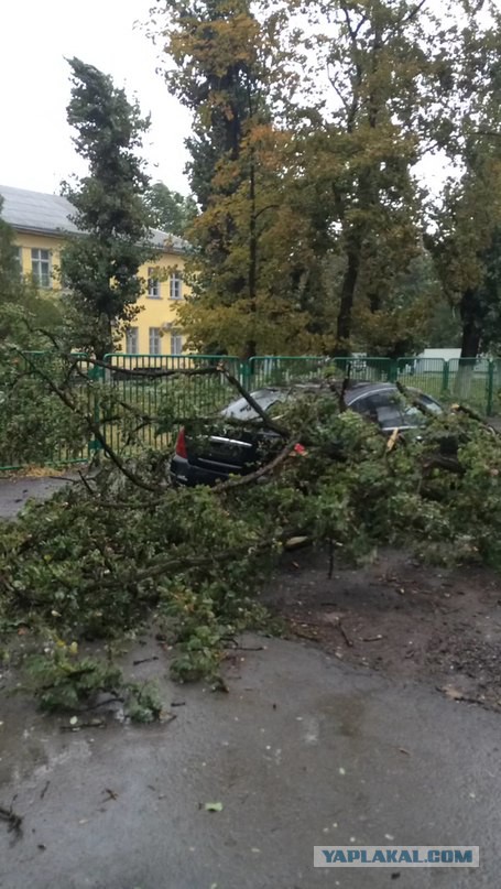 В Ростовской области бушует ураган