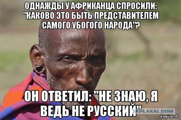 Жабы на яйценюха