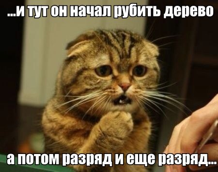 Спасение кота