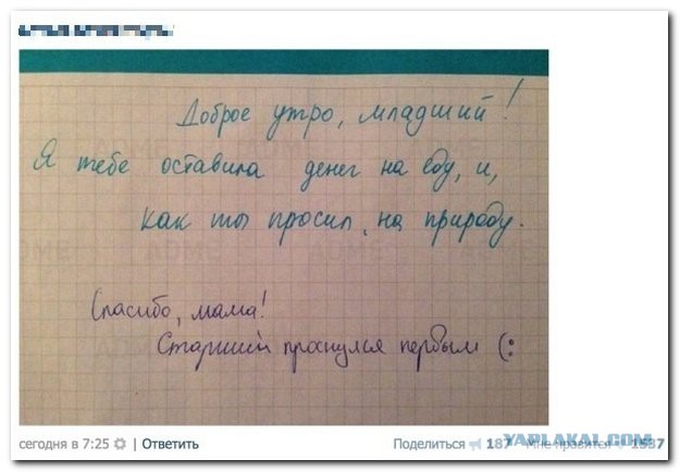 Смешные комментарии из социальных сетей