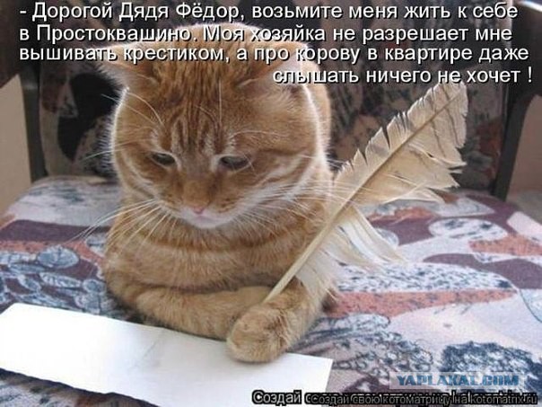 Веселые картинки