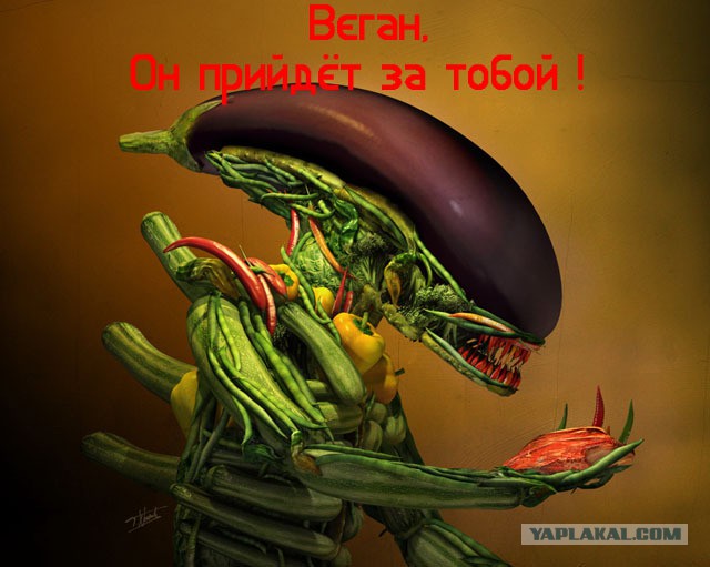 Прикольные картинки.