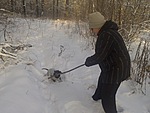 Прогулять сабакина..
