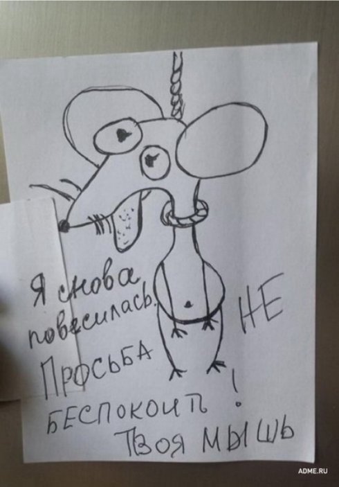 Семейная жизнь в картинках