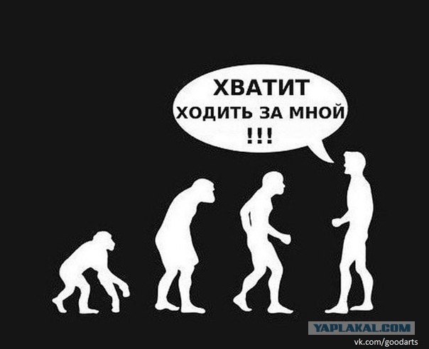 Картинки  разные