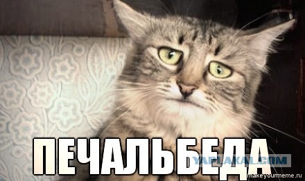 Слоны