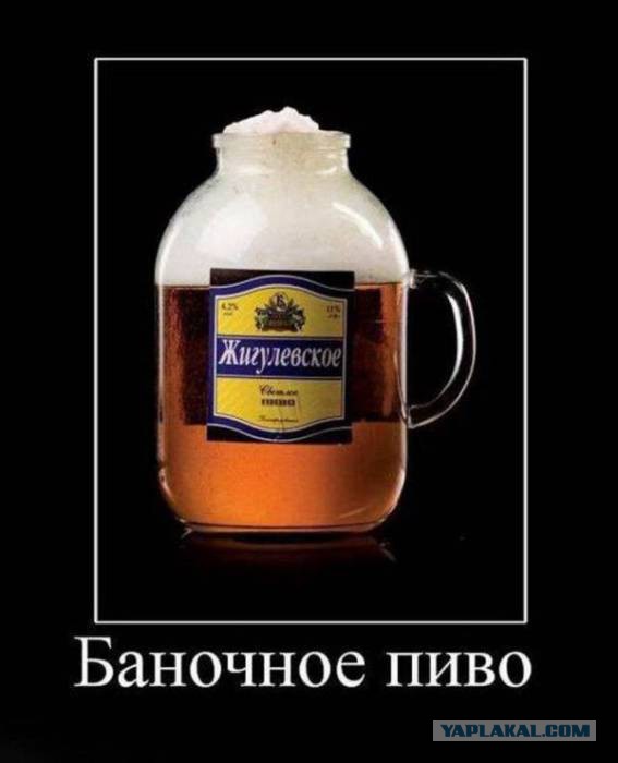 41 веселая картинка
