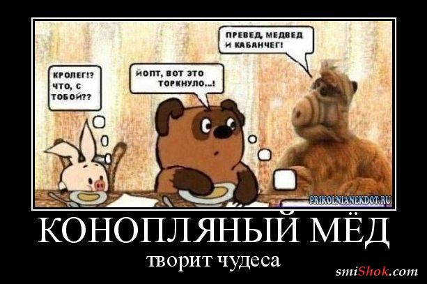 Алко-Нарко-Психо-Фармо и т.п. поборка