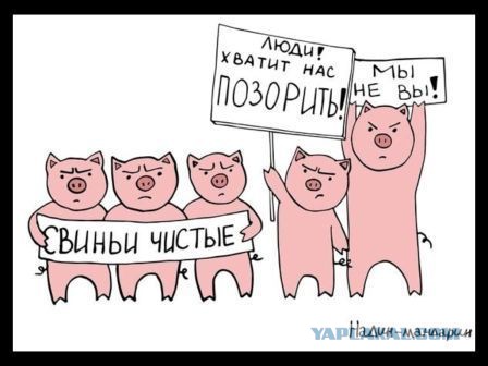 "Небольшой" бардак