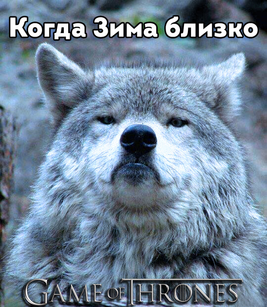 Придет серенький волчок