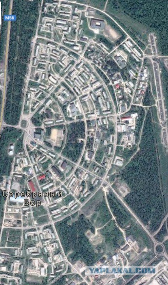 Повтыкать на ночь глядя
