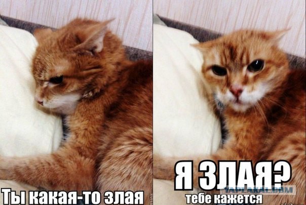 ПМС у женщин странный предмет.
