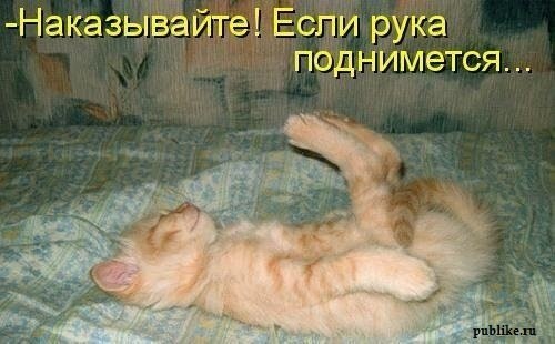 Немного позитива