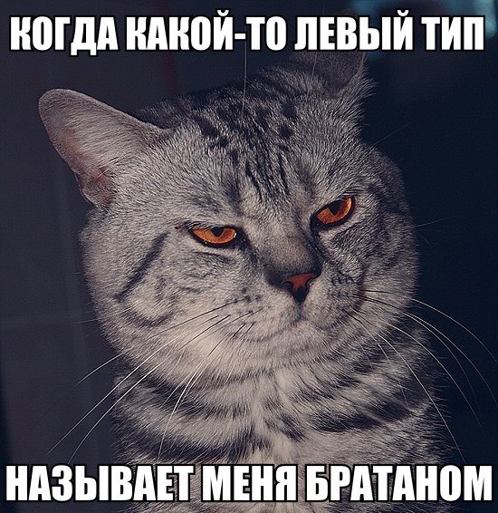 Подборка картинок