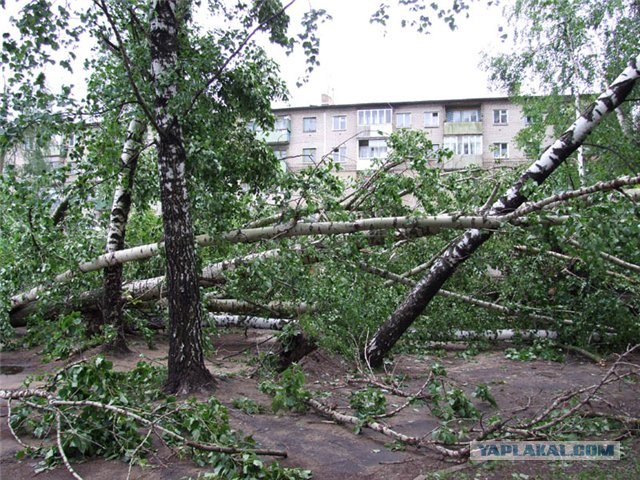 В Ярославле погулял смерч