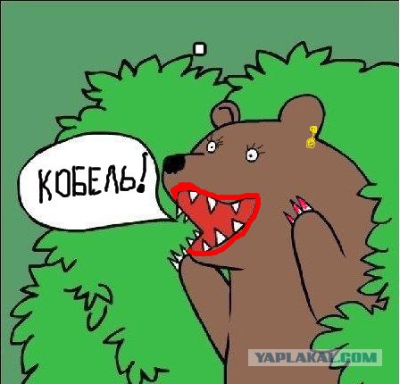 А признавались вы своей половине, сколько партнеров было ?