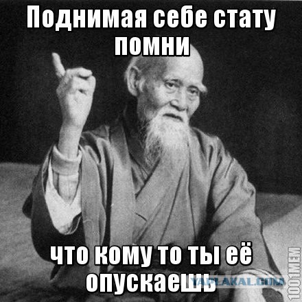 Wargaming 31