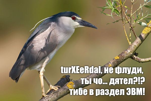 Уже да :) Ужо пятнецца...