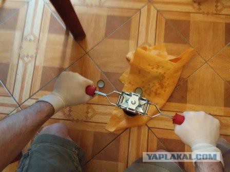 Варим пиво дома. Сухой ирландский стаут.