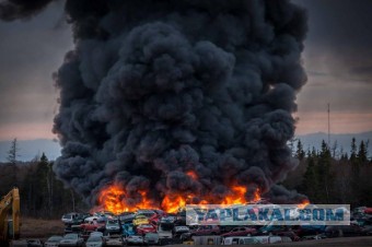 Все население города в Канаде приказано эвакуировать из-за лесных пожаров