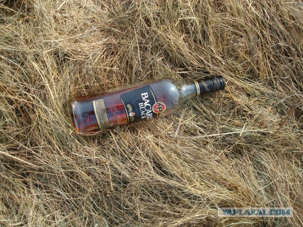 Одно фото из отпуска.