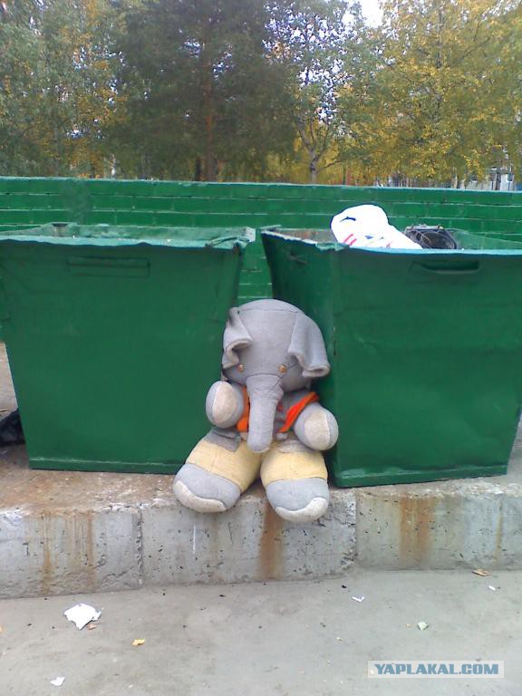 Винегрет фоток на пятницу...