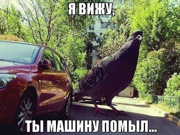Винегрет фоток на пятницу...