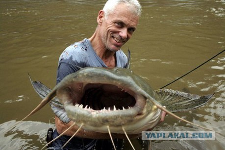 Они мне никогда не нравились...