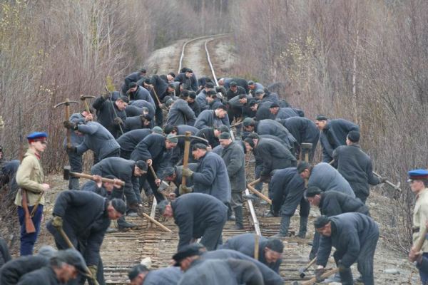 Живодёрка летит в Хабаровск под конвоем