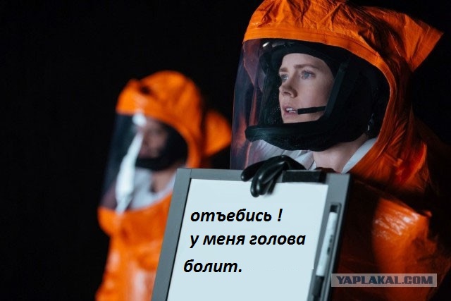 «Трамп — президент, улетайте»: что блогеры сказали бы пришельцам из фильма «Прибытие»