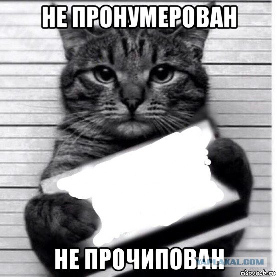 С 2018 года в России будет создана единая система идентификации домашних и сельскохозяйственных животных.