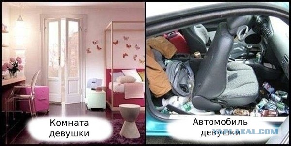 Мужчины vs. женщины: главные отличия
