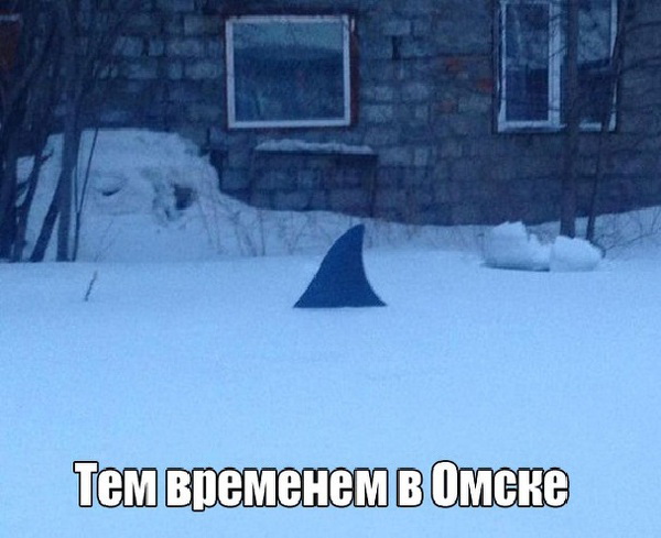 Фото разные, забавные и не очень