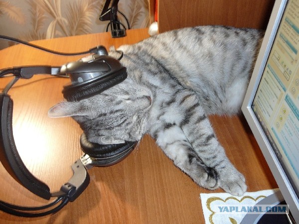 Раскрыта цена новых процев AMD Ryzen. Существенно дешевле Intel.