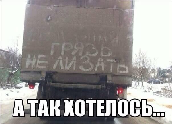 Подборка безудержного веселья