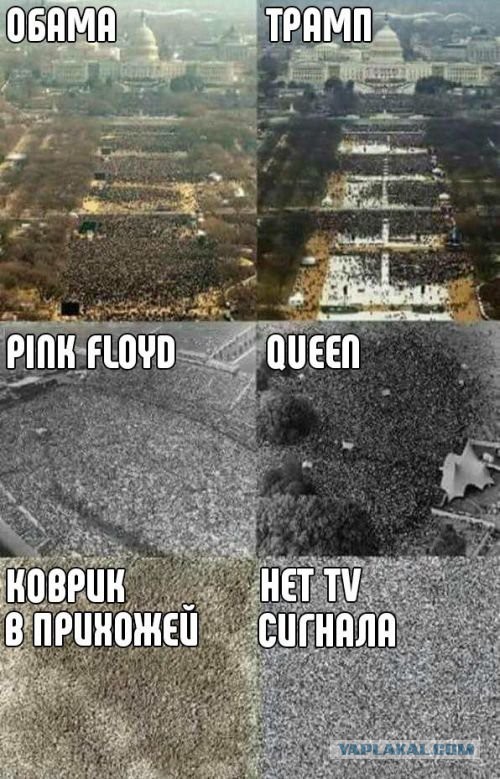 Картинки ИЗ сети