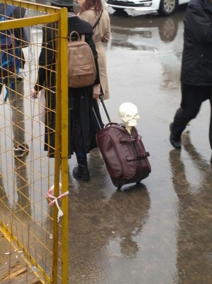 Деградации ЯПу