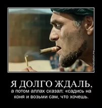 Двое несовершеннолетних детей Кадырова заработали за год 20 млн рублей