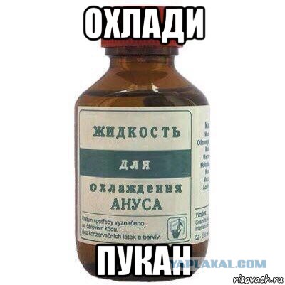 Вот бы Путин и Мохаммед ибн Рашид аль-Мактум поменялись местами...