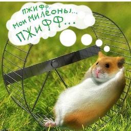 Вот бы Путин и Мохаммед ибн Рашид аль-Мактум поменялись местами...