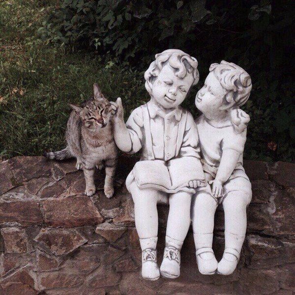 Коты и Кошки