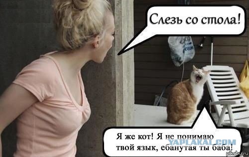 Песик лает...но очень тихо