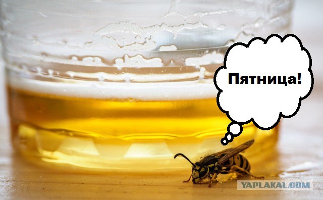 Просто юмор 21