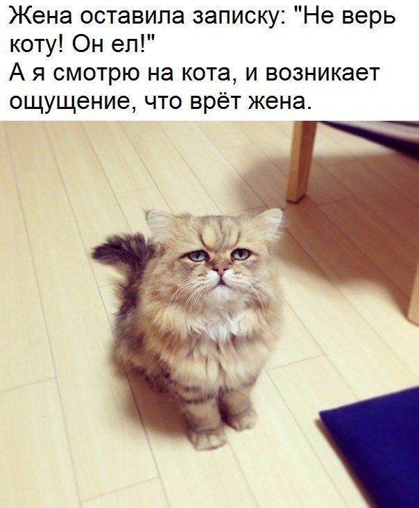 Просто юмор #24