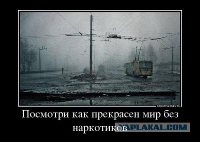 Мне не жалко алкашей