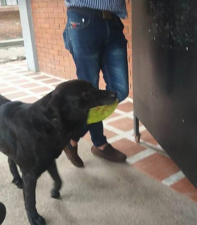 Тайный поклонник ежедневно приносил женщине цветы, но был пойман с поличным