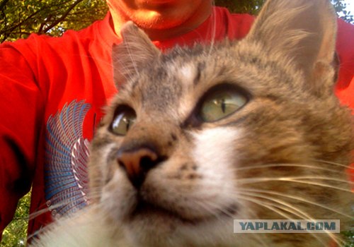 Котовторник 22.05.2012